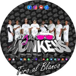TIRO AL BLANCO