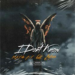 I Don't Know (feat. Aylius)