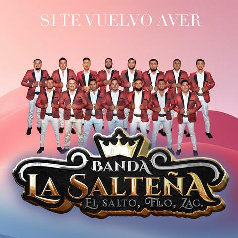 SI TE VUELVO A VER