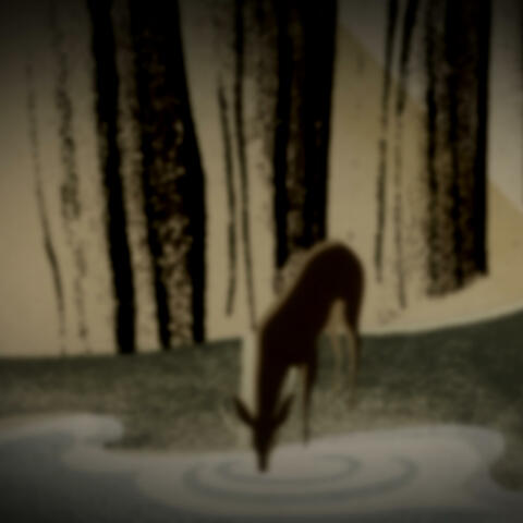 Lost