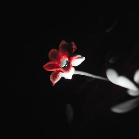 אנשים שונים