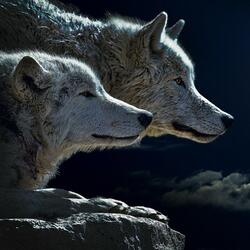 Wolf Sounds (1 Hour) Enjoy the Company of the Animal That Is the Majestic King of the Night