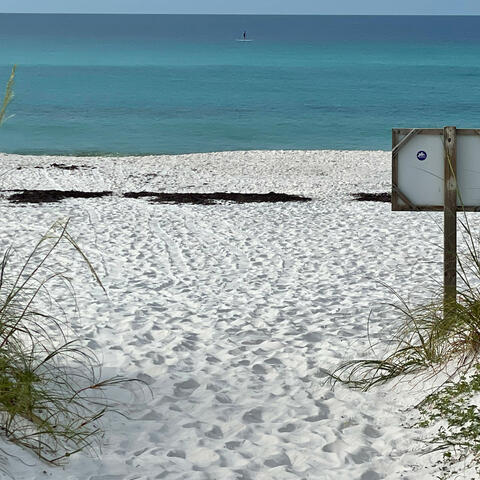 Mattrew reborn(ft. Lil_putintang)