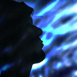 The Sloan Great Wall