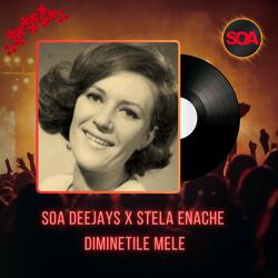 Diminetile Mele (feat. Stela Enache)