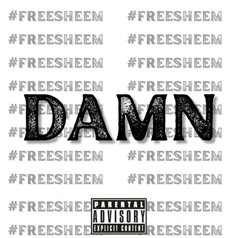 Damn (feat. Big Sheem)