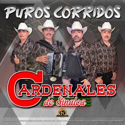 Corrido de Amado Garcia