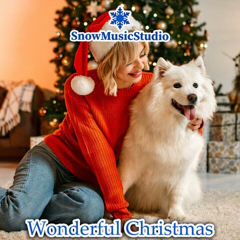 Wonderful Christmas