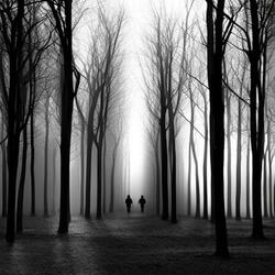 FAR AWAY