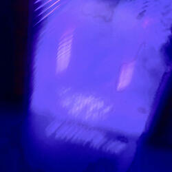 Love Cycle (feat. DFA)