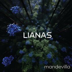 Mandevilla (Noise)