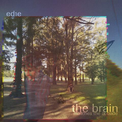 The Brain Matches the Outside