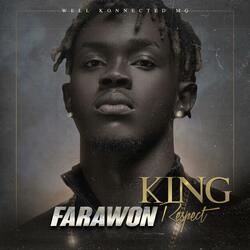 Like The Vibe (Gouye)