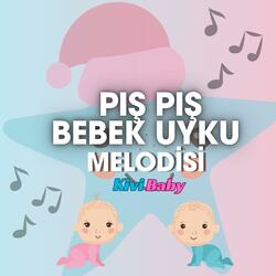 Pış Pış Bebek Uyku Melodisi 1 Saat Baby Sleep Music