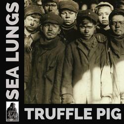 Truffle Pig
