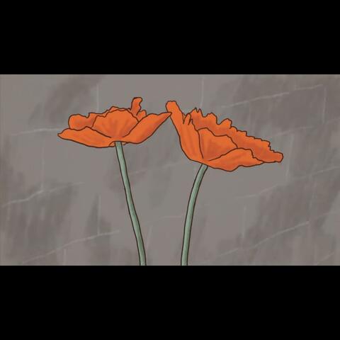 Blossom II