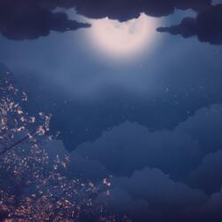 Velvet Twilight