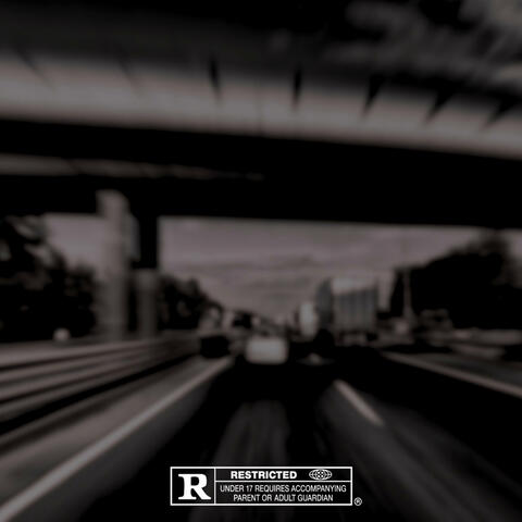 295 (Freestyle) (feat. Don Voltron & Loma3x)