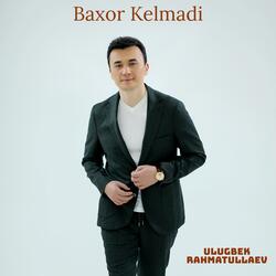 Baxor kelmadi