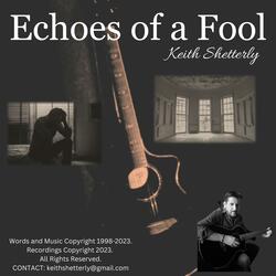 Echoes of a Fool