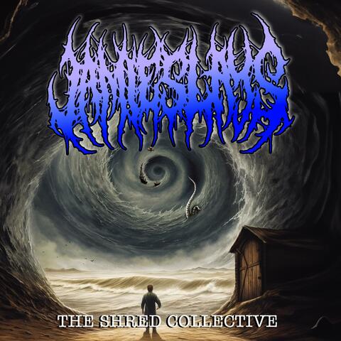 The Shred Collective