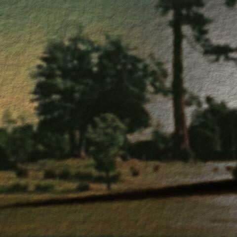 Down the Avenue: Iteration the First