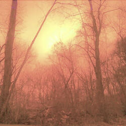 Solace of the Hour