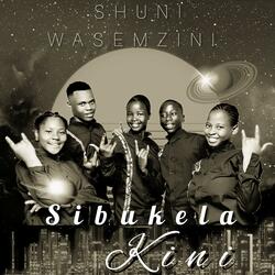 Sibukela kini