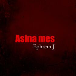 Asina Mes