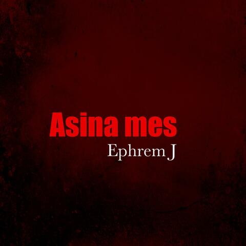 Asina Mes