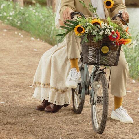 maybe sunflower