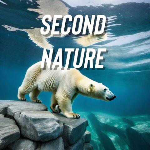 Second Nature