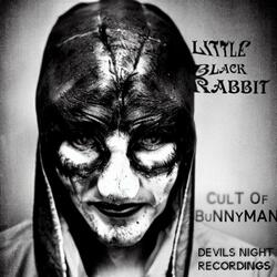 Down the rabbit hole