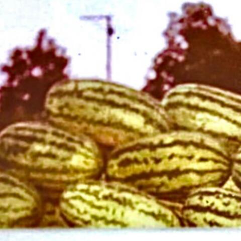 Won't Bother You (feat. Spoonfed Jr)