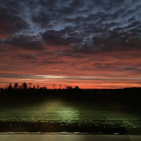 October Mornings: Songs From Daily Light