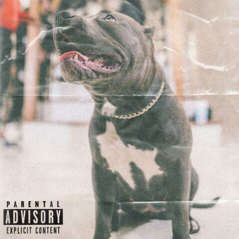 Scam (feat. 4Steppa & ScamBamWam)