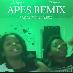 Apes