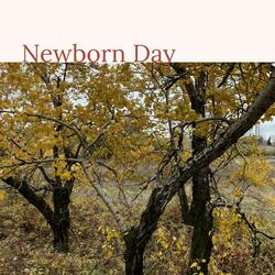 Newborn Day
