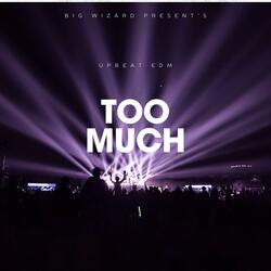 TOO MUCH