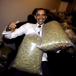 Feeling Peachy Freestyle