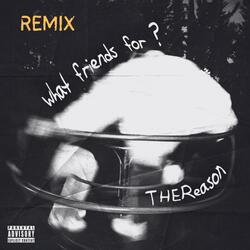 What Friends For ? (feat. Annah Mae) (REMIX)