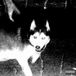 DEATH (INTRO)