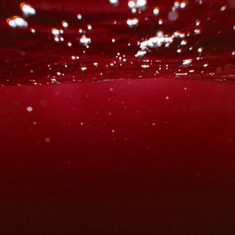 Drowning in My Sins