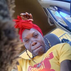 Allowance Ari Freestyle