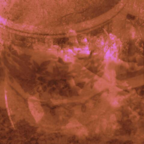 Na kraju se bacila u Žeravicu