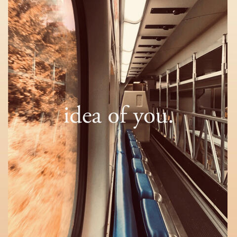 Idea Of You