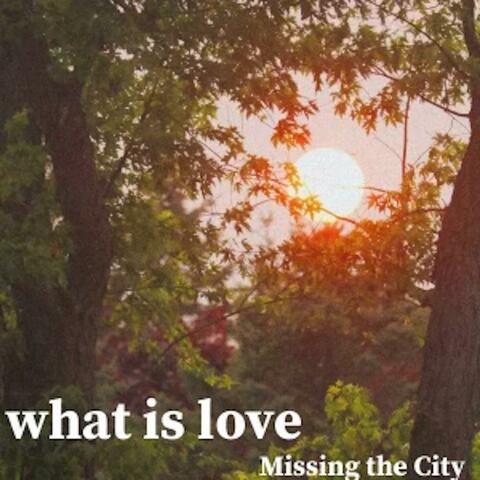 What is Love
