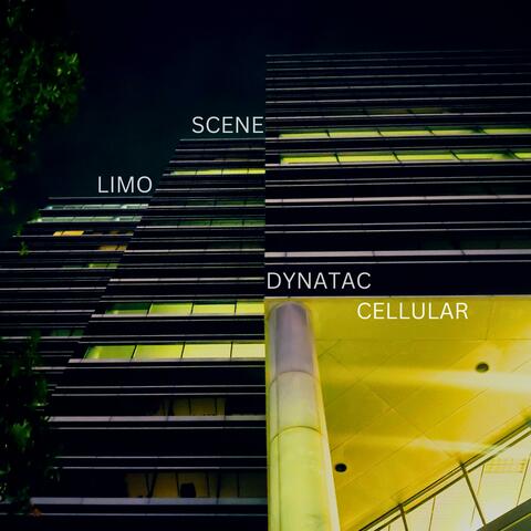 Dynatac Cellular