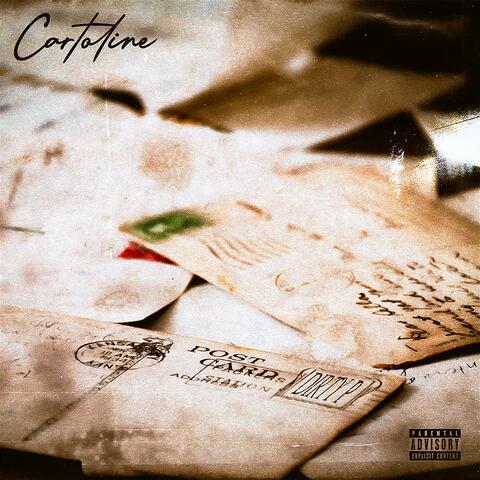 CARTOLINE
