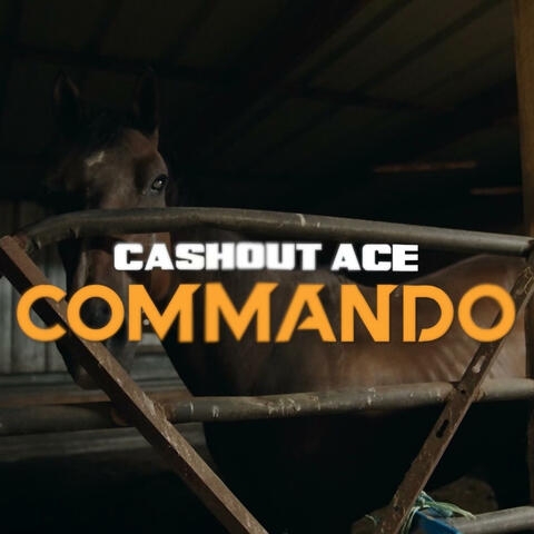 Cashout Ace